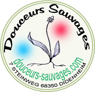 Douceurs Sauvages 